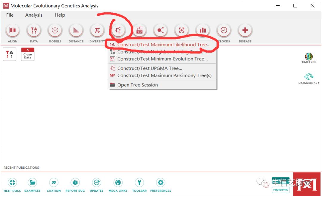 TBtools|基因家族分析,进化树、Motifs、结构域