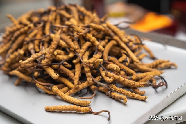 买冬虫夏草的骗局,冬虫夏草买卖要交税吗