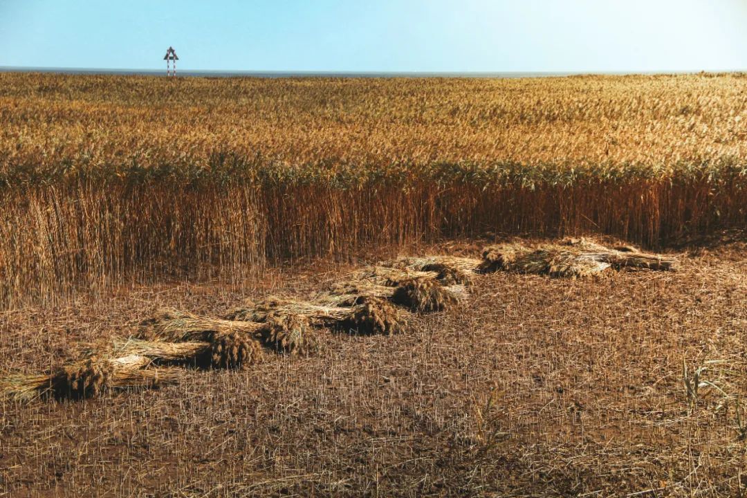 贯通中国南北的国道,连接南北疆的这条公路贯穿了四季