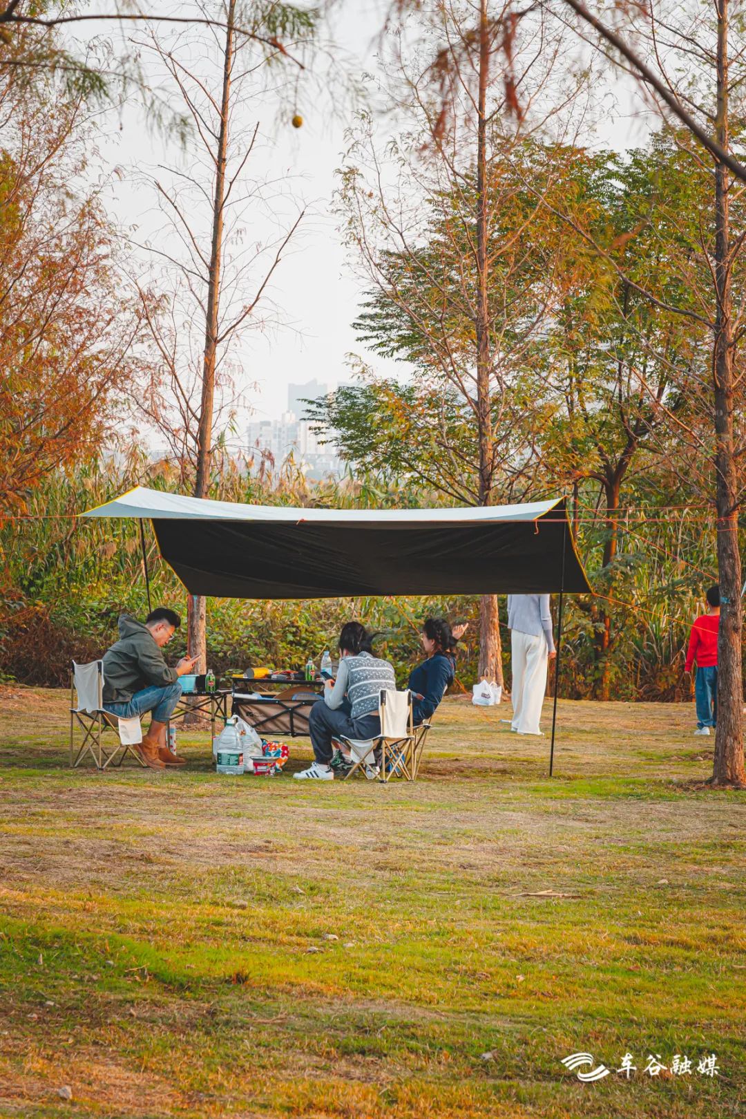 散步、慢跑、骑行……快来打卡车谷这些“高颜值”绿道