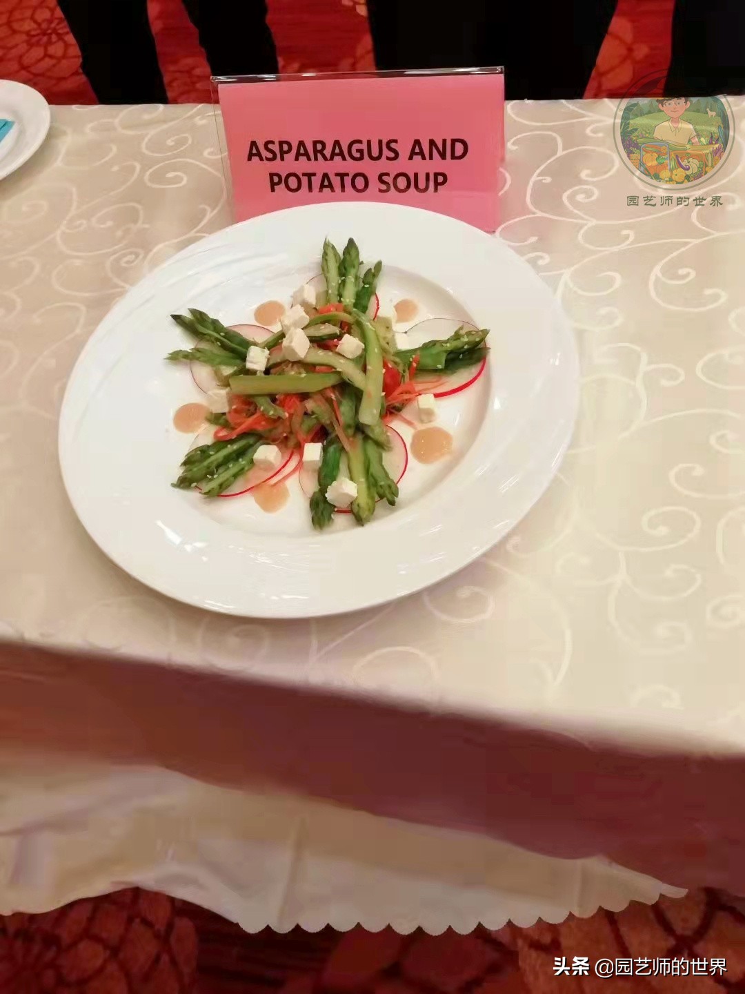 种植100万亩芦笋需育苗多少亩,带根芦笋怎么种植