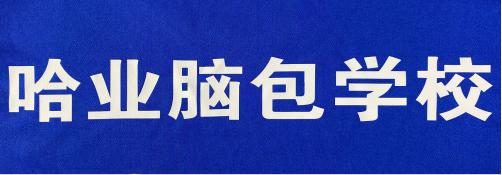 包头天宇星足球俱乐部,包头市天宇星足球俱乐部