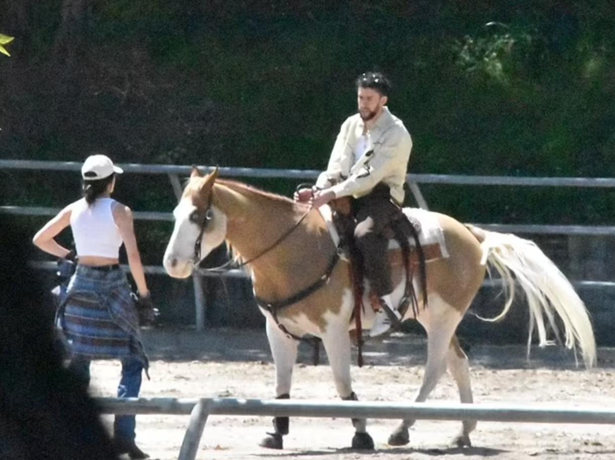 骑着爱情的小马，肯豆和坏兔子开始热恋的颠簸，甜蜜情侣祝福多多