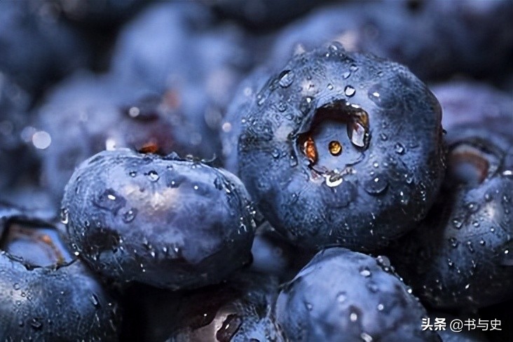 胡萝卜对眼睛有什么好处啊,每天吃胡萝卜汁对眼睛有好处吗