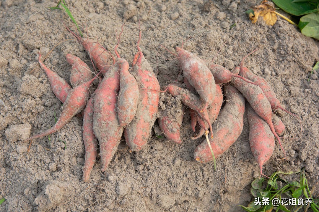 阳了最适合吃什么,阳了应该吃点啥