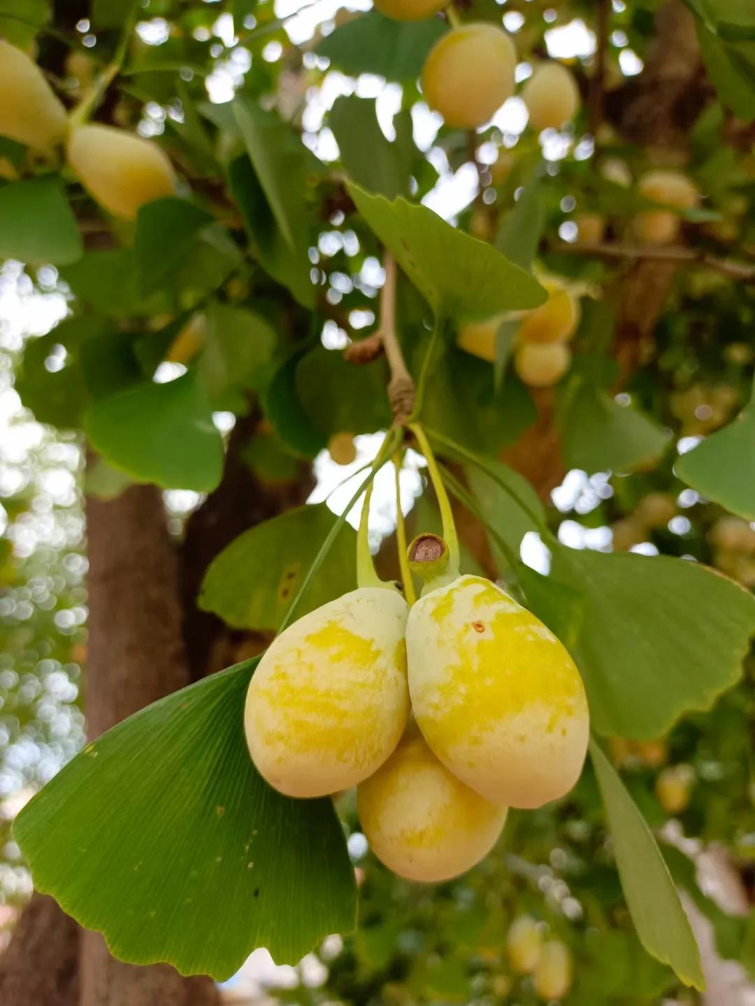 为什么你不你预留部分钱来购买营养物质呢？