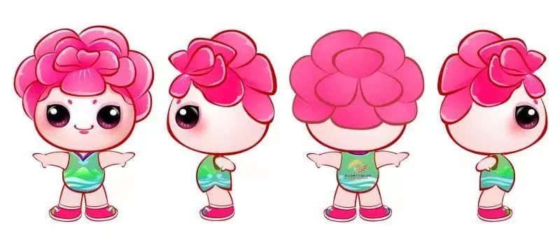 满满的知识点归纳,金华省运会知识