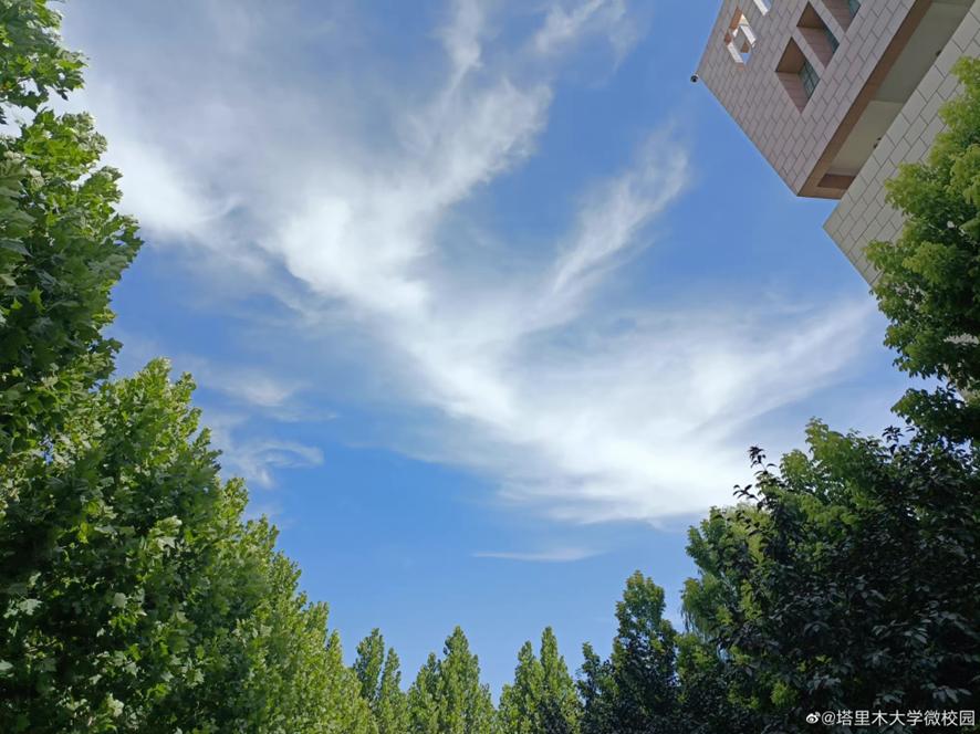 新传专业容易考研上岸学校,考研过国家线就可以录取的院校