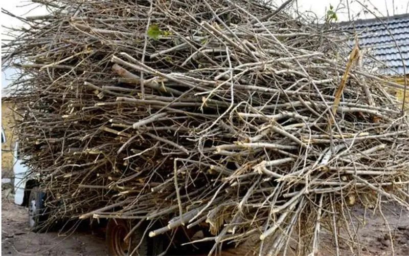 农村零成本赚钱小方法,农村比较挣钱的小生意