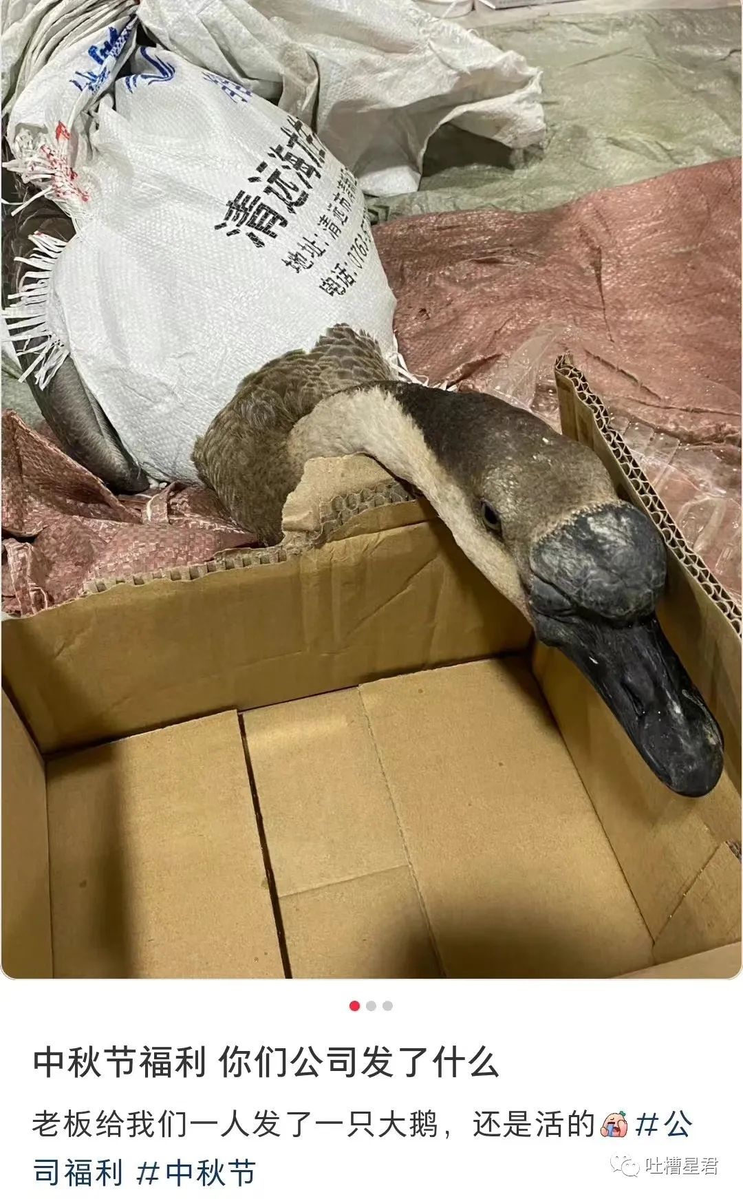 花1千买球拍值得吗,花1千买球拍