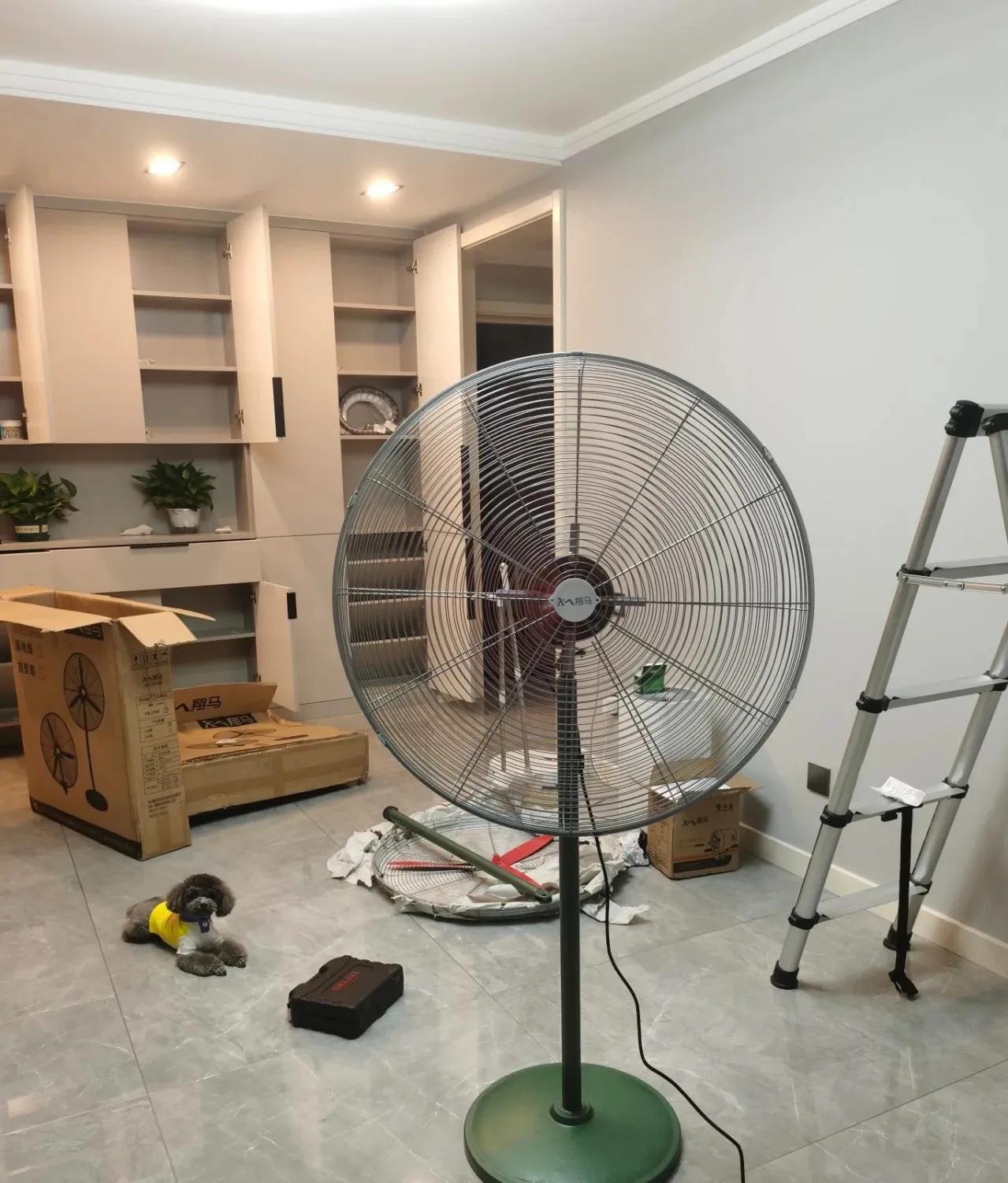 刚装修完的新房怎样除甲醛最好,新房装修后怎么才能彻底除甲醛