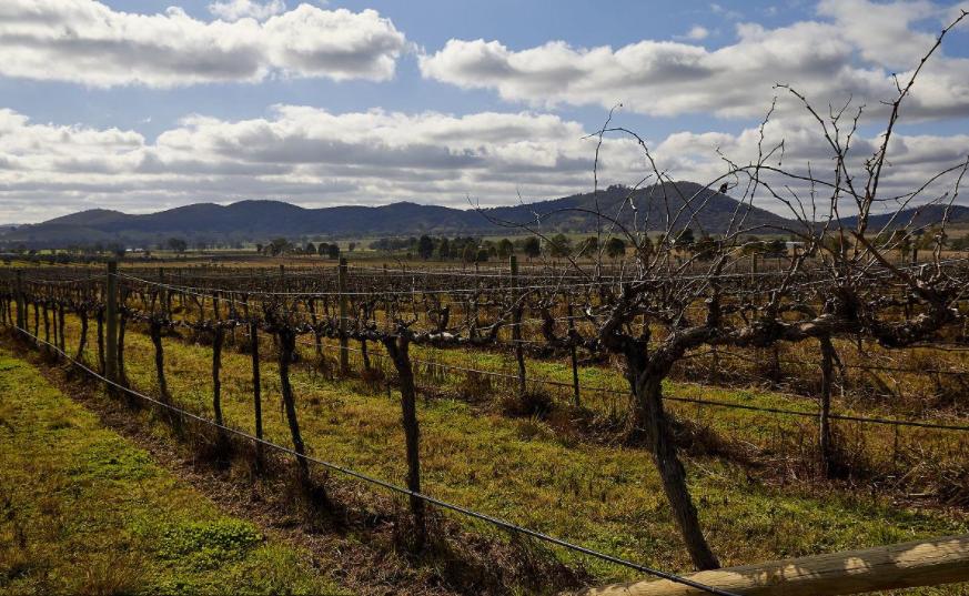 澳洲打工没文化没技术做什么好,五年澳洲打工挣了200w