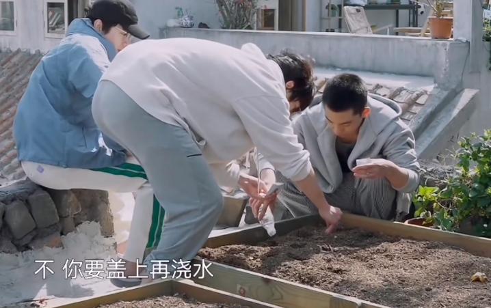 向往6最后几期嘉宾,向往6什么时候开播