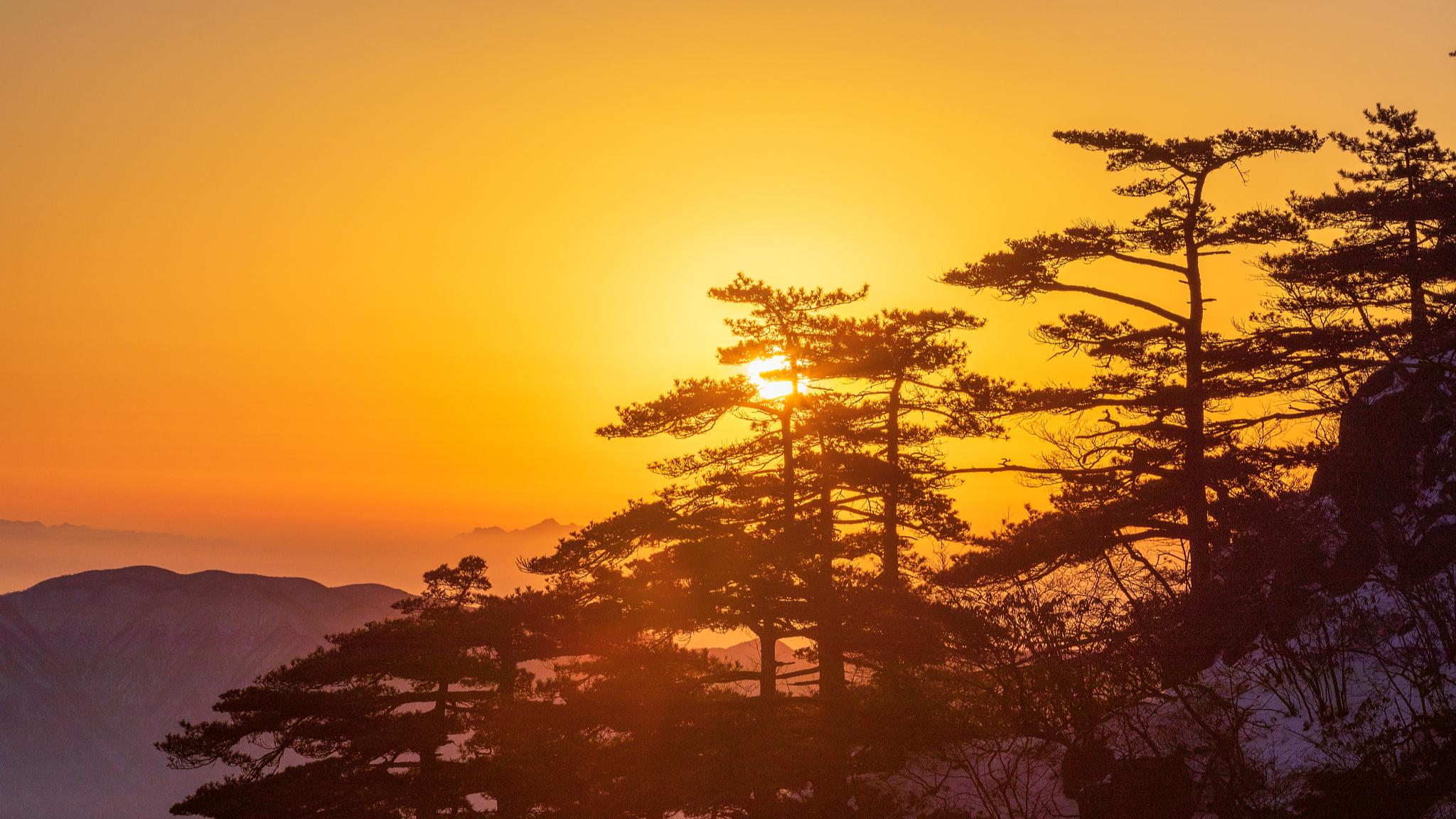 元好问为官避世,元好问以诗存史