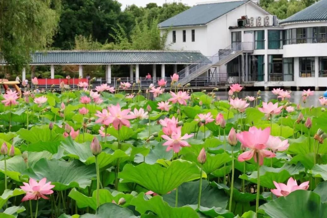 合肥夜爬蜀山攻略,合肥蜀山夜爬路线