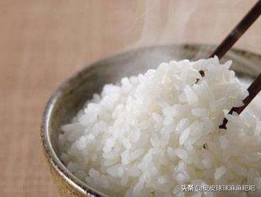 原来狗狗也喜欢吃大白菜,原来狗狗也爱吃芝士玉米片