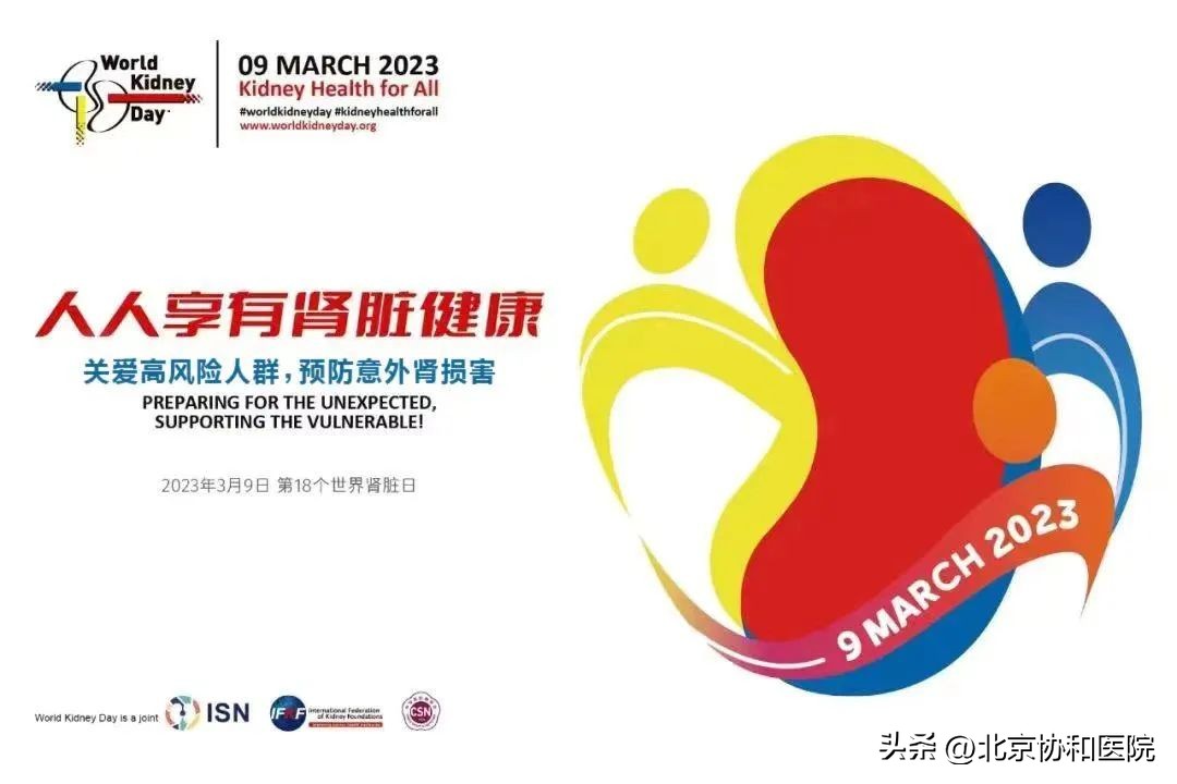 世界肾脏日建议关注肾脏早期筛查,世界肾脏日患者应做到长期管理