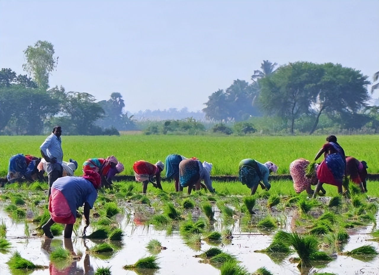 印度的优点和缺点,印度的文化优点缺点