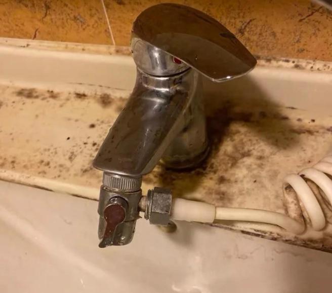 经验分享去日本必囤的4个好物,不去日本也要买的5个好物