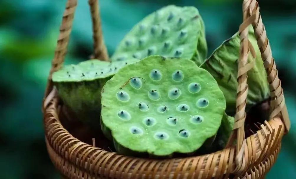 永远不要做一个理性的人,从此以后做一个理性的人