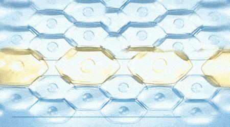 地龙多肽多效美肤霜，赋予你应有的健康、美丽与自信