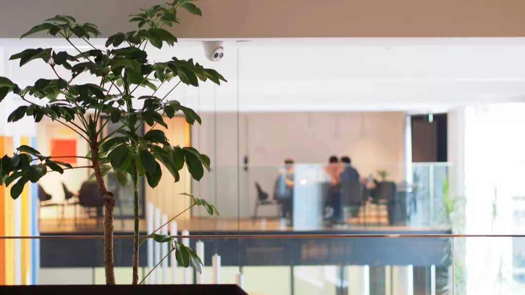 杭州吴越画室成人定制班,杭州吴越画室校考冲刺