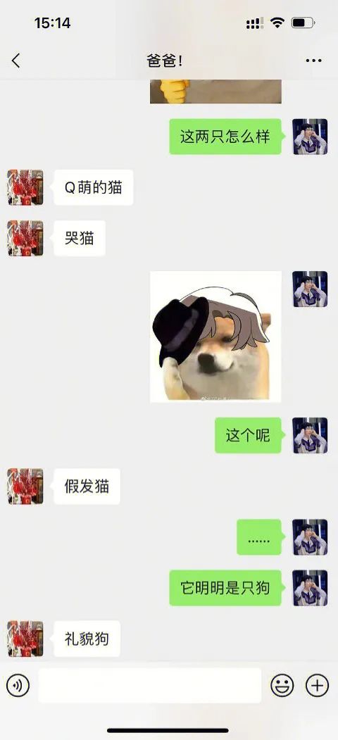 取名鬼才！狗婶子是想把谁笑死啊哈哈哈