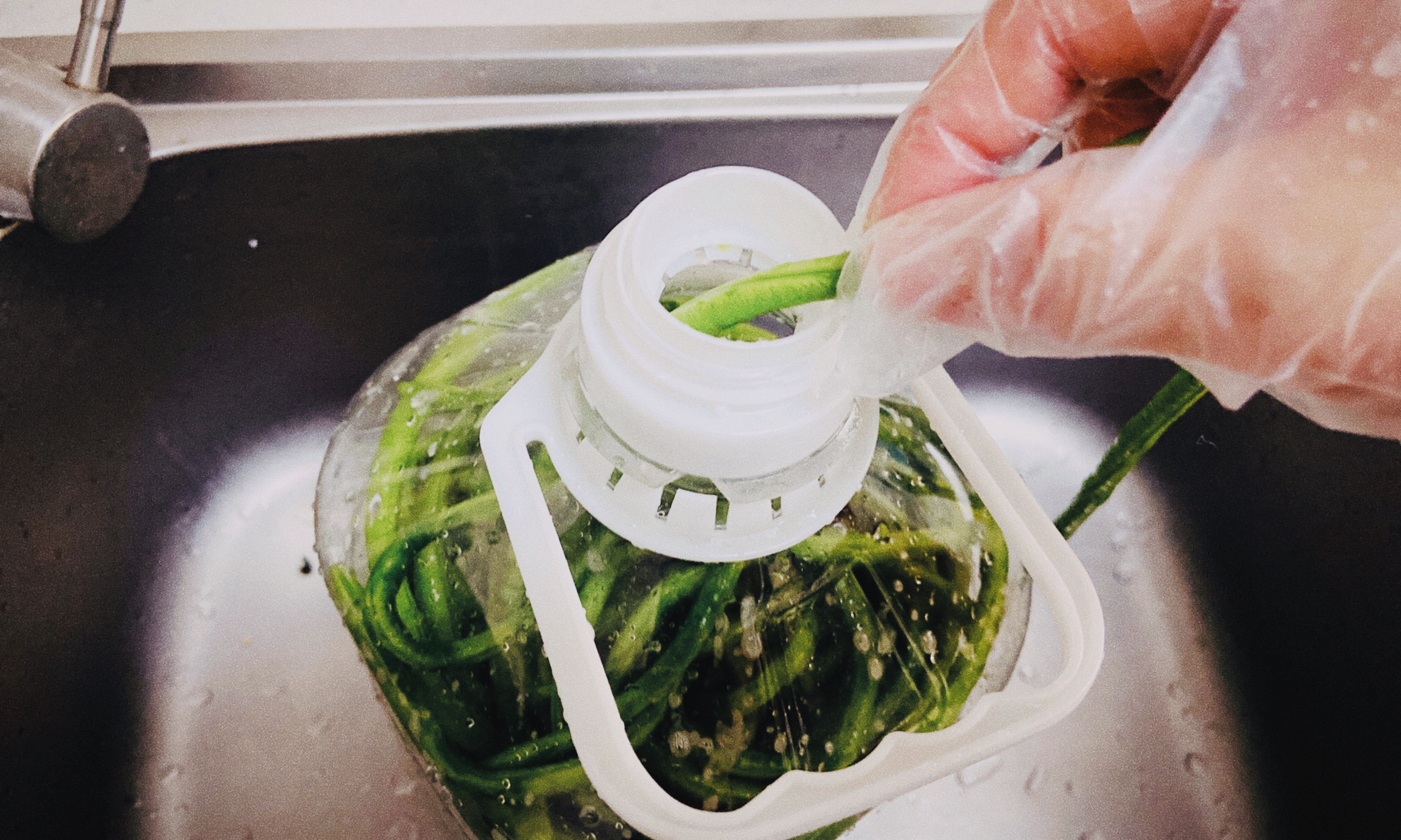 怎么样腌豇豆不会烂,自己腌制的酸豇豆发臭