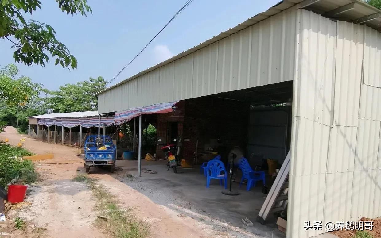 赤壁50亩鱼塘承包费一年要多少钱,25亩鱼塘承包要多少租金