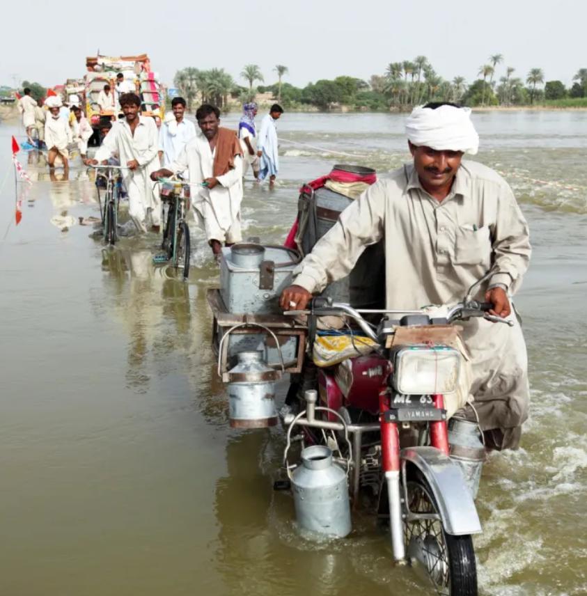 巴铁是巴基斯坦还是巴勒斯坦,巴基斯坦和巴铁是一个地方吗