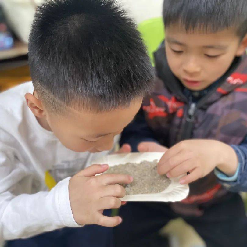 科学探索幼儿园小实验,建德诺亚舟幼儿园