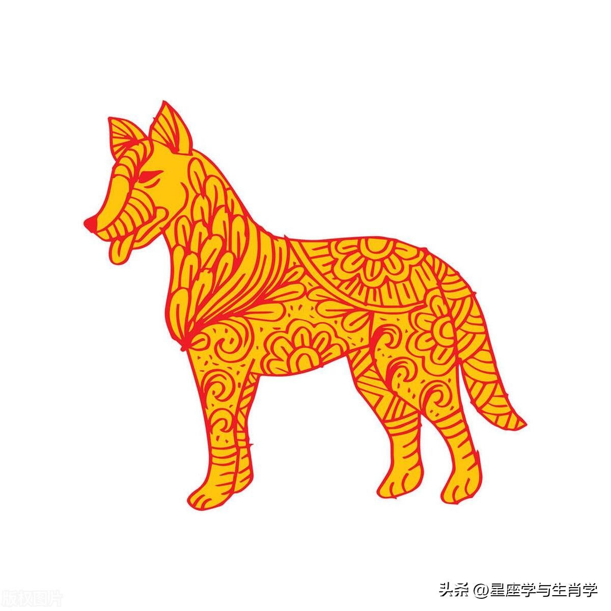 生肖狗进入七月份运势,七月中旬生肖狗的运势