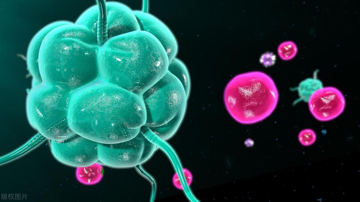 为什么孩子刚上幼儿园容易生病,为啥孩子一上幼儿园抵抗力就下降