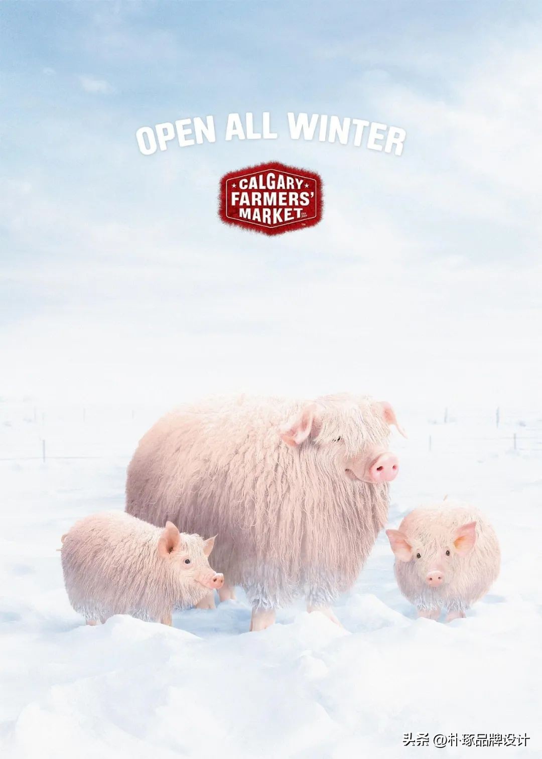 数码色彩插画海报设计,ip海报设计教程