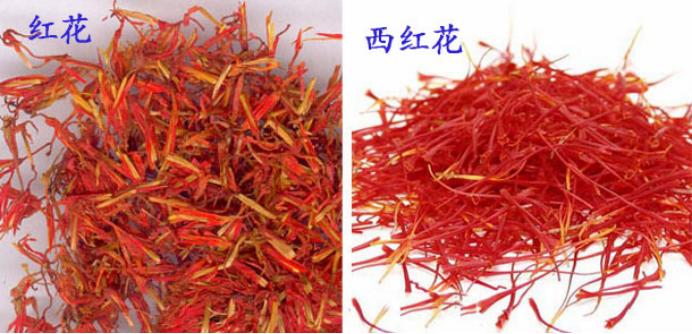 红花与西红花区别图表,红花西红花特殊鉴别方法