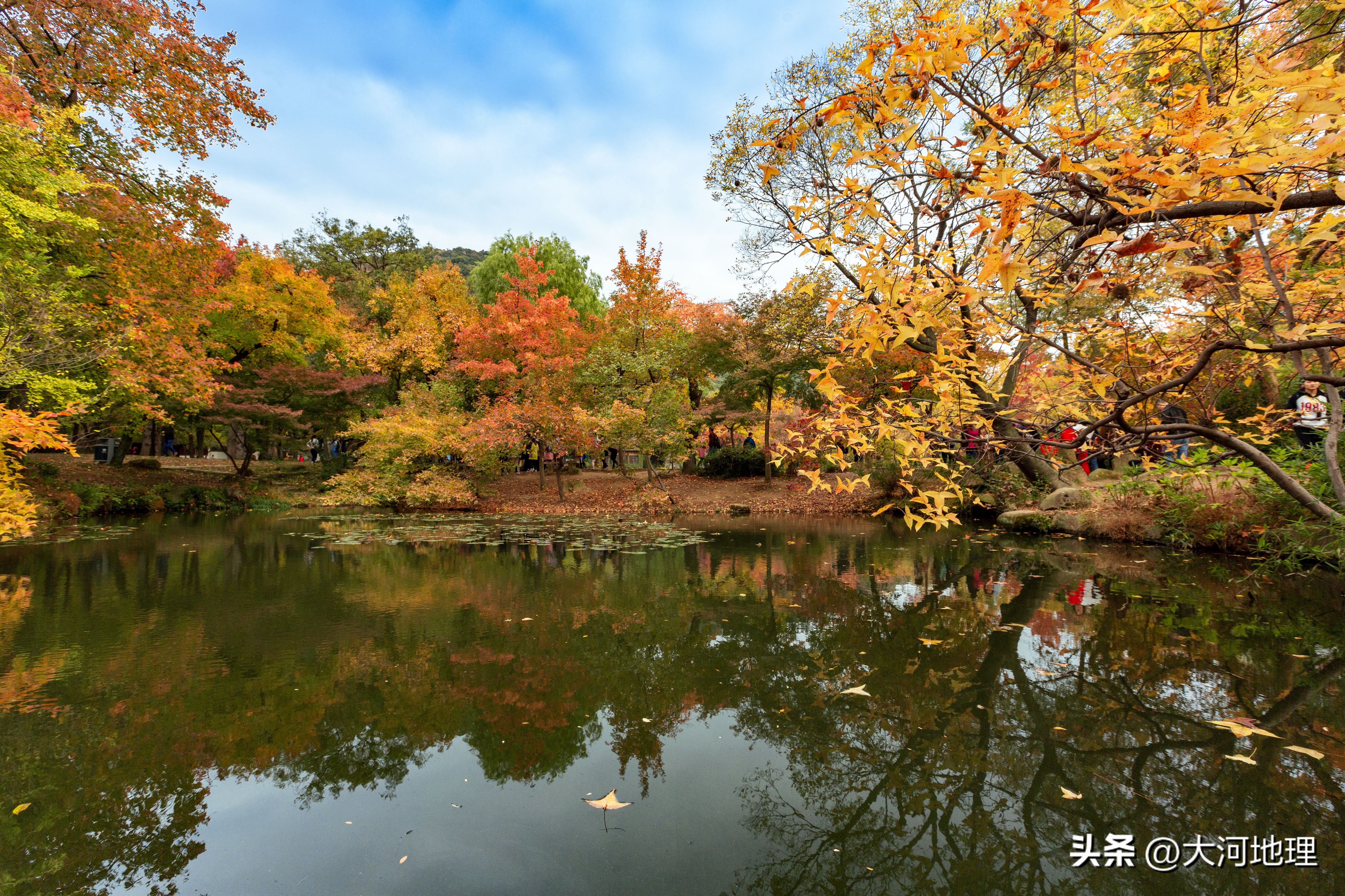 旅游攻略国内十大必去景点南方,中国南方著名景点