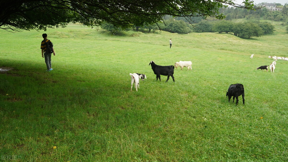 重庆旅游攻略最美的路线,重庆冬季旅游景点排名前十自驾游