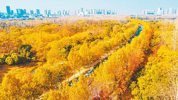 合肥市肥西县旅游景点,春节合肥市旅游景点