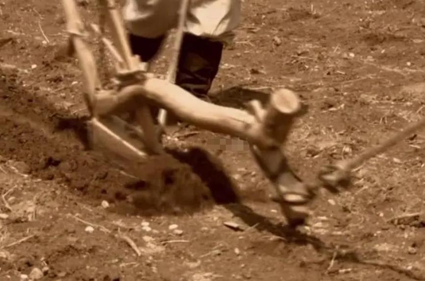 他临终说：若我后代出“高人”一定要杀，不然必*反造**，结果竟灵验