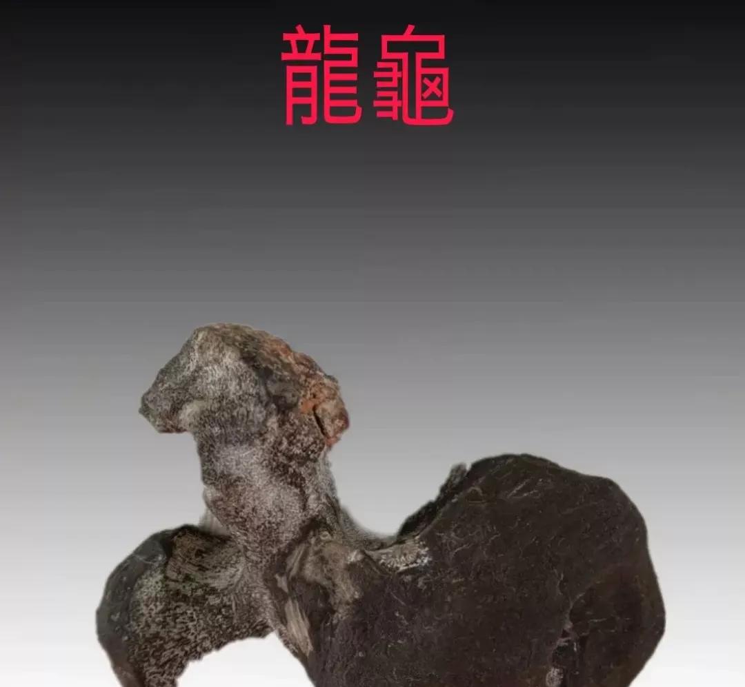 奇石赏玩,奇石赏玩是一门博大精深的学问