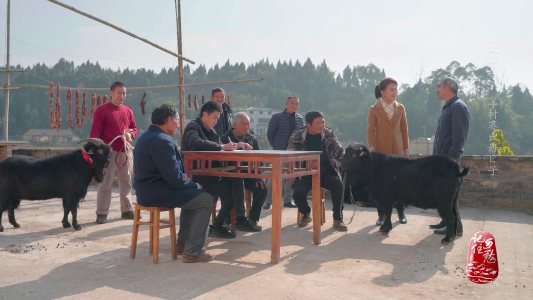 咩咩咩！听羊村“黑宝贝”，奏响山村致富曲