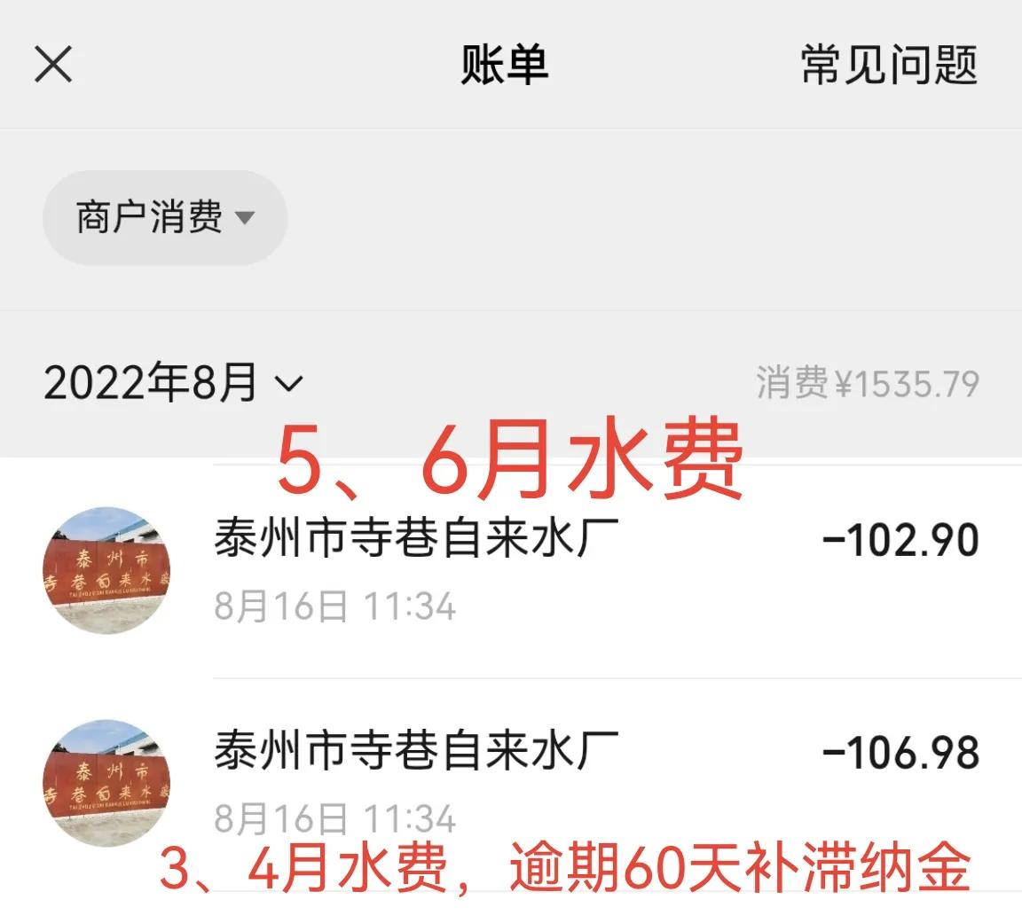 家里马桶漏水2个月,马桶漏水12小时流多少水