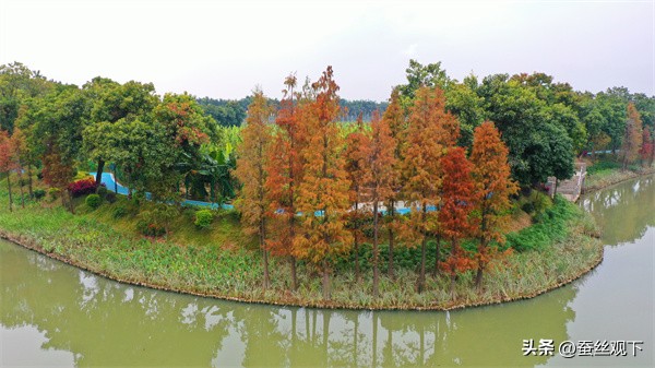 麻涌镇经济今年在东莞排名多少位,麻涌镇经济排名