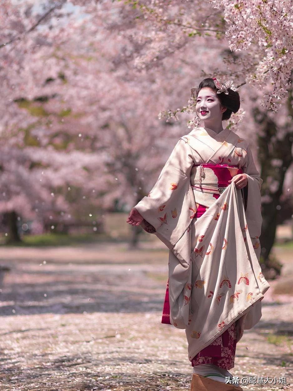 日本樱花花海浪漫之旅,日本旅游看樱花之旅攻略