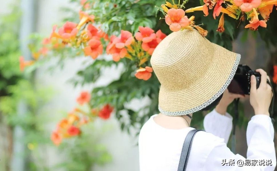 人走着走着就明白了,走着走着就明白了好多道理