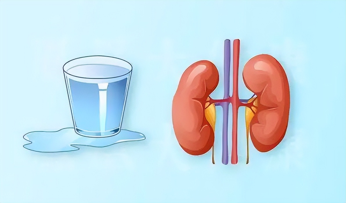 喝进去的水不排尿的症状,水喝多了不排尿吃什么药