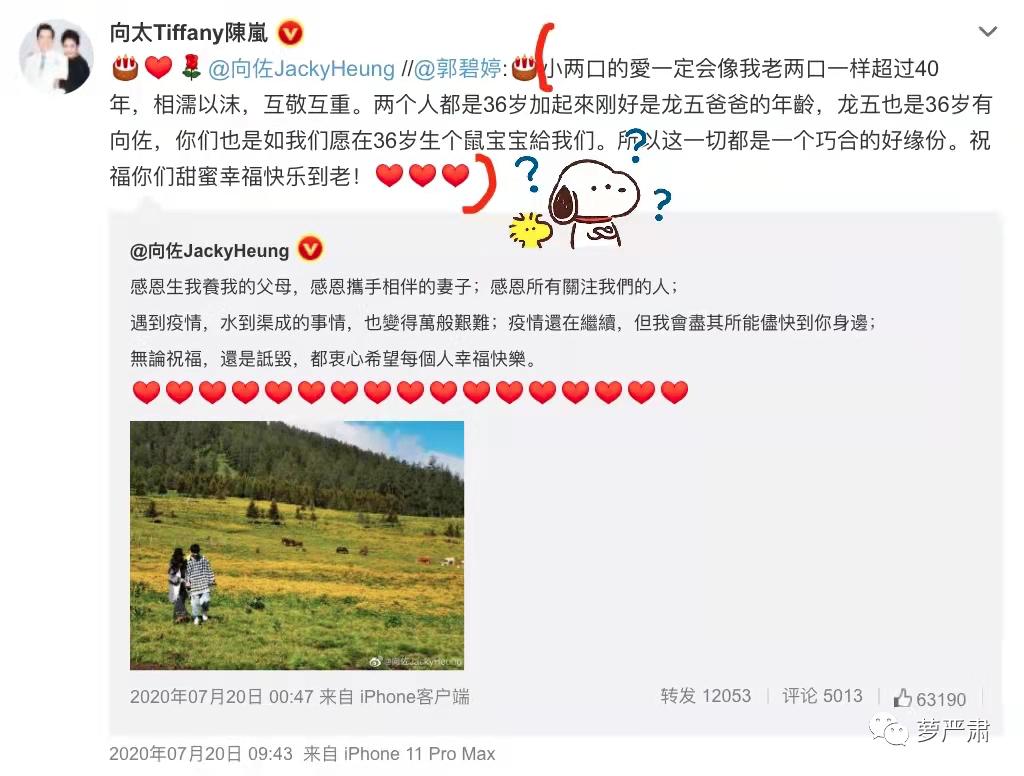 向太同框关之琳旧照曝光,向太年轻时秒杀关之琳