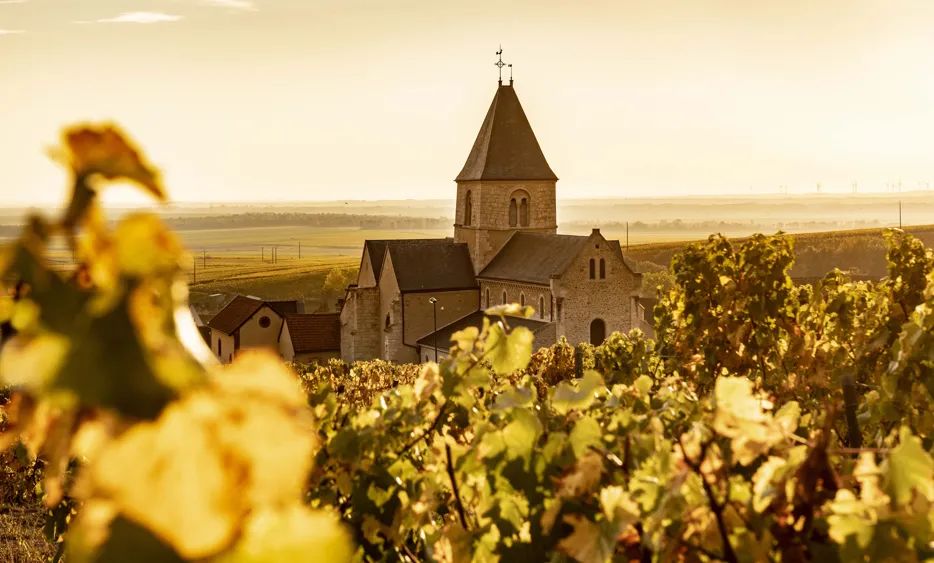 香槟葡萄园旅行,旅游香槟