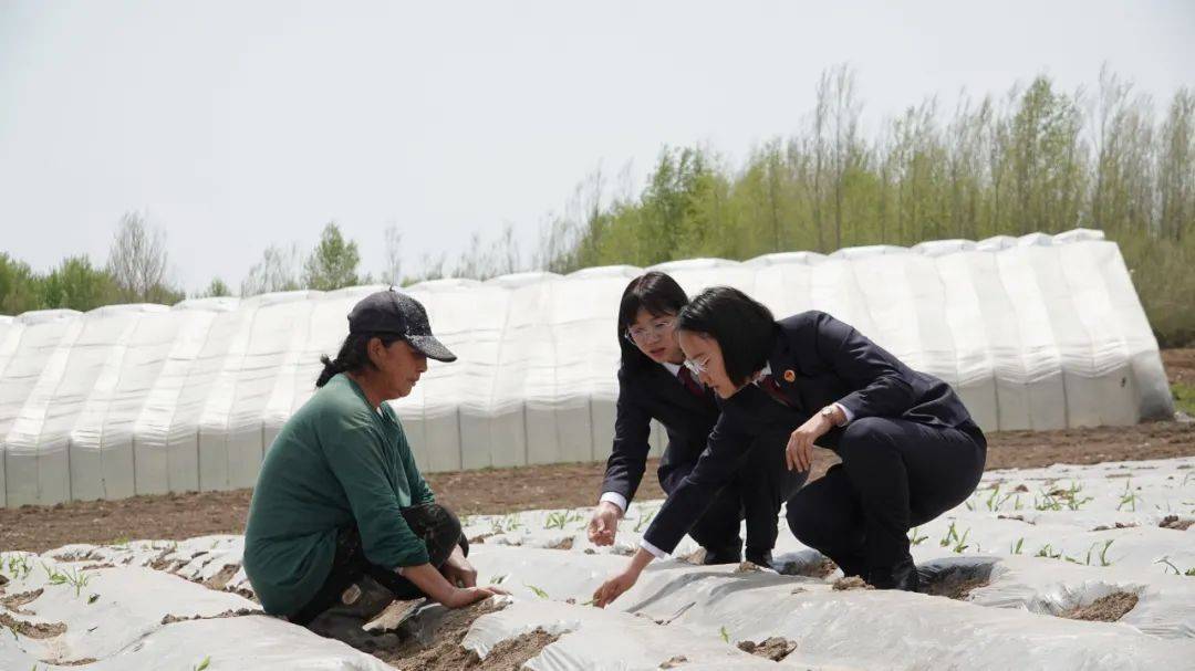 保护粮食安全政策,中央文件保护粮食安全