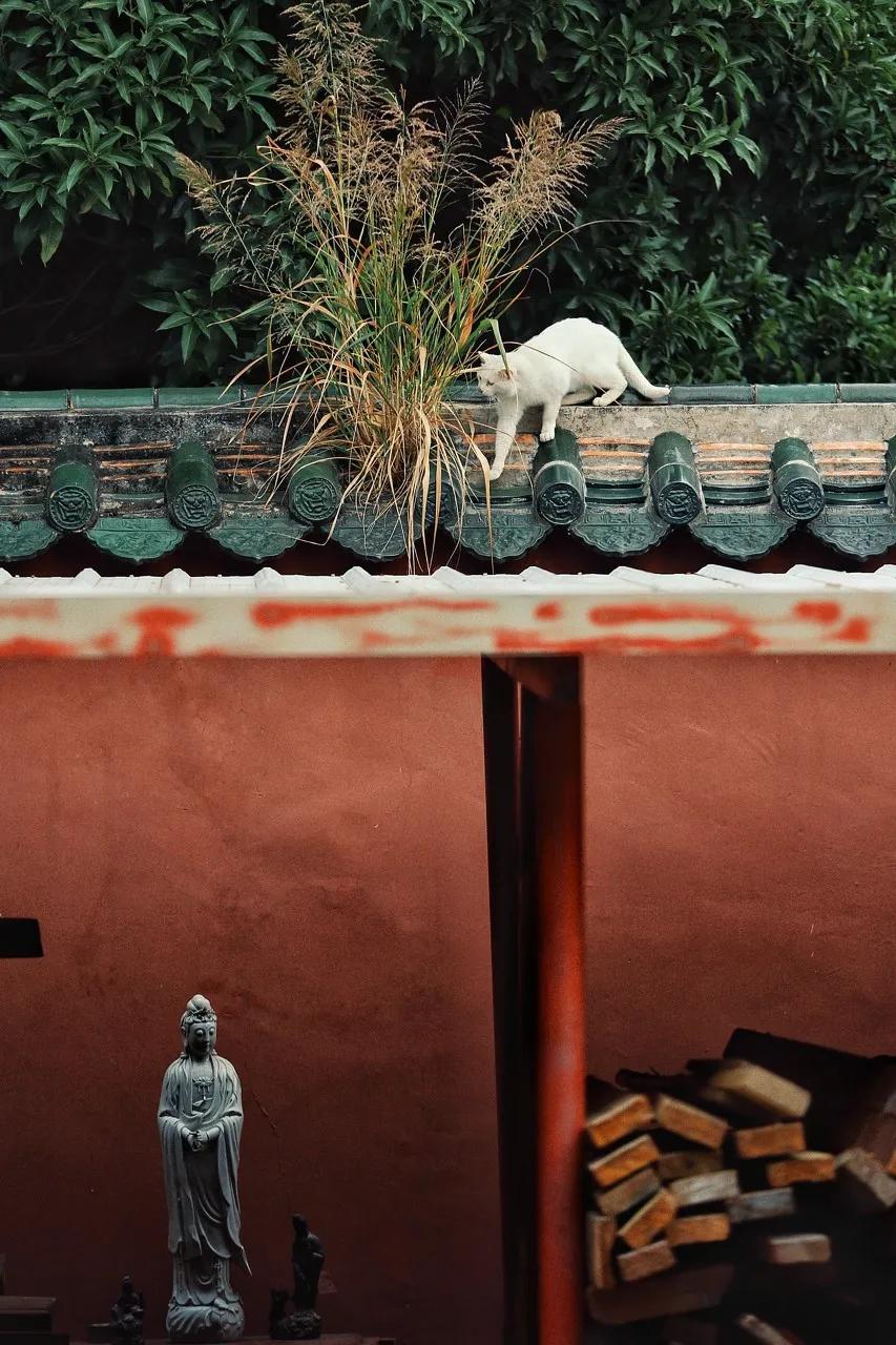 收好这份旅行攻略,最详细划算的旅行攻略